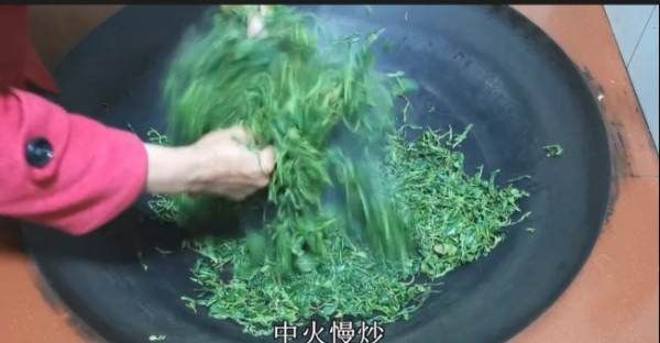 炒茶叶怎么炒,炒仔茶的功效是什么图10