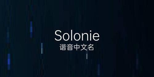 solo网络用语什么意思