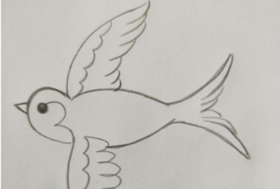 国画燕子的画法步骤,燕子画法图9