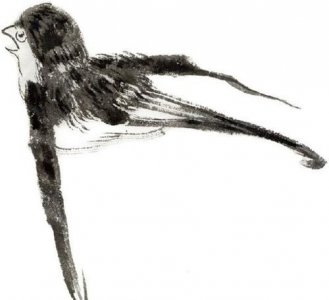 ​国画燕子的画法步骤,燕子画法