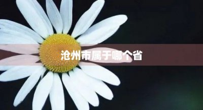 ​沧州市属于哪个省(沧州哪里好玩)