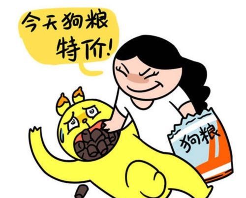 撒狗粮是什么意思撒狗粮的句子有哪些