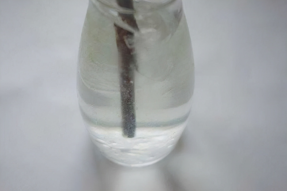 教你做好喝的苏打水,口感好喝又可以放心饮用,赶紧收藏吧