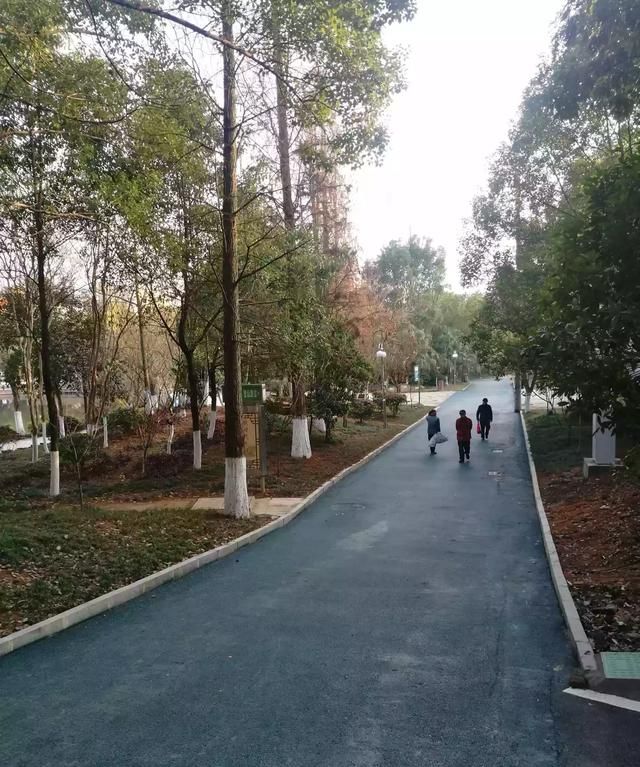 民间风俗,民间流行的风俗习惯?图3