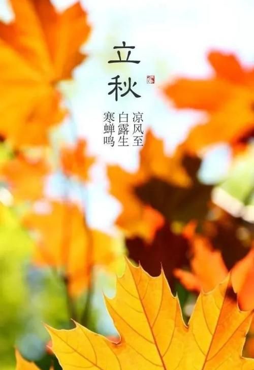 立秋山珍经典诗句大全