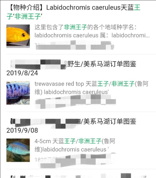 三湖慈鲷必养品种(三湖慈鲷杂鲷浅谈)(3)