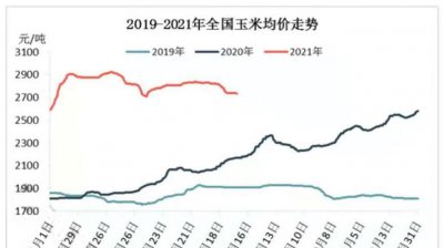 ​关于玉米价格上涨的原因（玉米价格每吨涨千元）