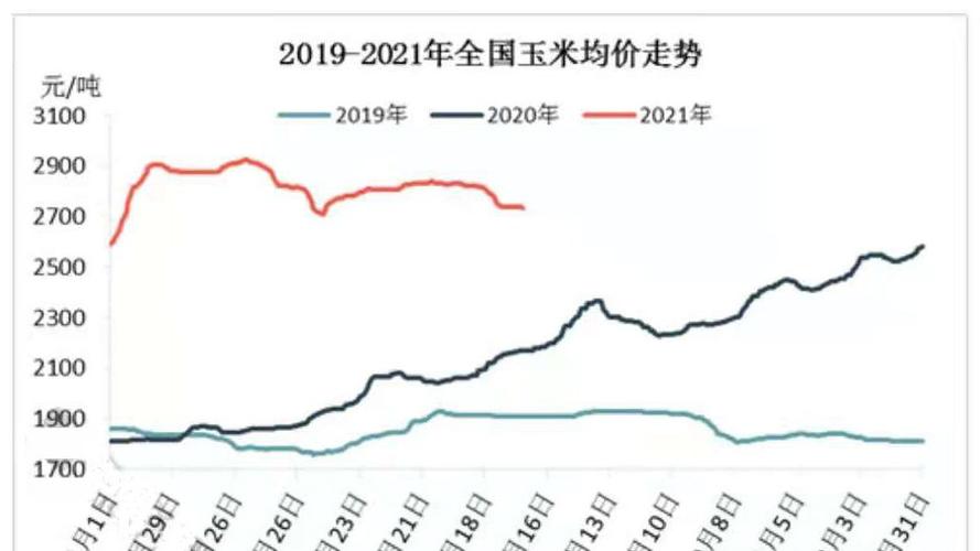 关于玉米价格上涨的原因(玉米价格每吨涨千元)