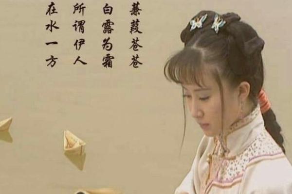 顺治的四个托孤大臣(背负了顺治宠爱的女子)(3)