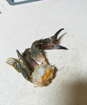 酱蟹怎么腌制方法,酱螃蟹的制作方法视频图3