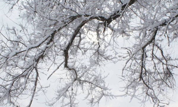 阳春白雪和下里巴人最初指什么,阳春白雪和下里巴人最初指的是什么图6