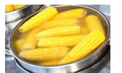 ​玉米煮多久就熟了,玉米要煮多久会熟