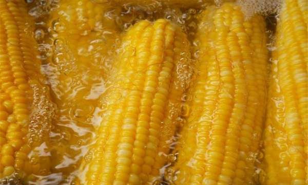 玉米煮多久就熟了,玉米要煮多久会熟图5