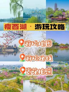 ​西湖电瓶车游览攻略