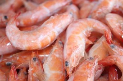 ​冻虾仁和鲜虾的区别