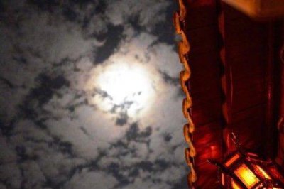 ​请问昨夜小楼又东风什么意思