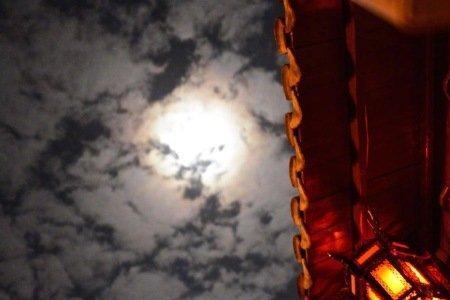 请问昨夜小楼又东风什么意思