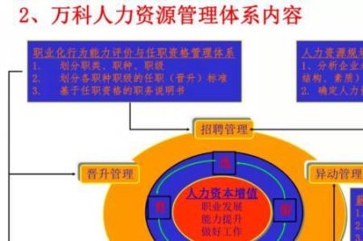 ​人力资源管理咨询包括什么内容