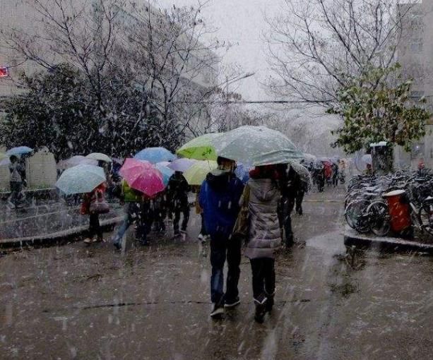 蹦迪百科,叔本华说:“要么庸俗,要么孤独”,你怎么理解这句话呢?图7