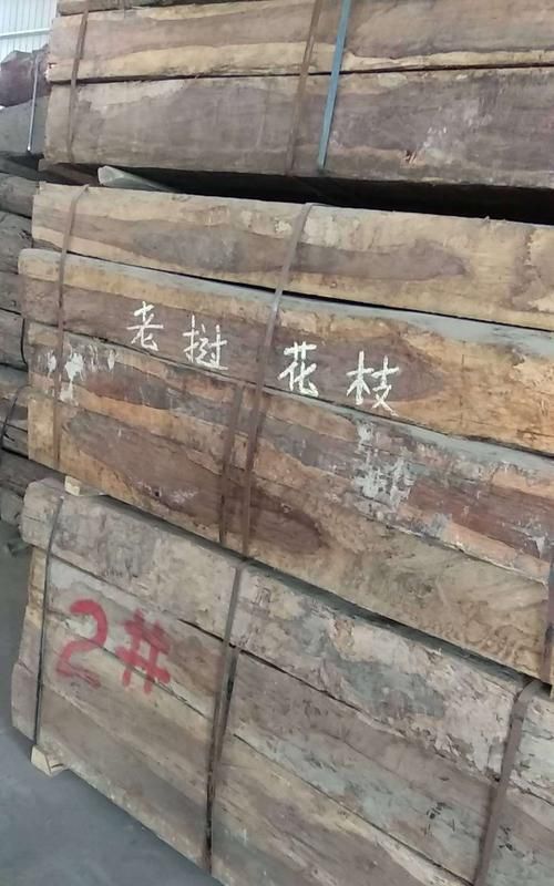 花枝木是什么木