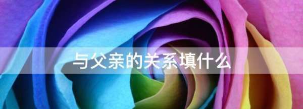 与父亲的关系填什么,本人与父亲的关系填什么图1