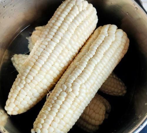 生玉米电高压锅压几分钟