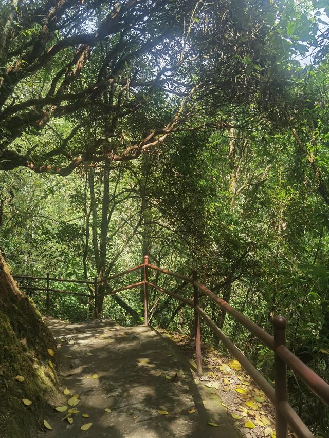 腾冲三大温泉在哪里(云南腾冲的温泉)(5)
