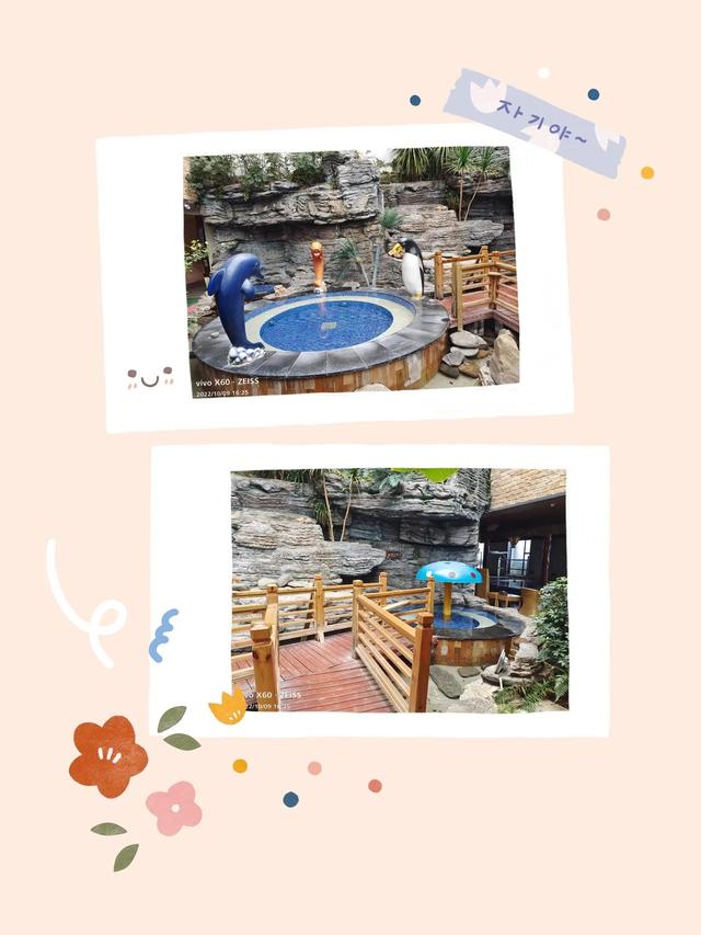 腾冲三大温泉在哪里(云南腾冲的温泉)(28)
