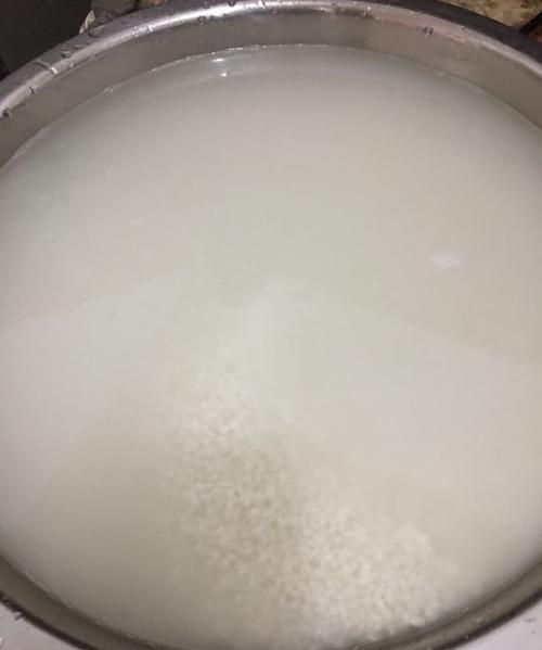 糯米要泡多久才能包粽子