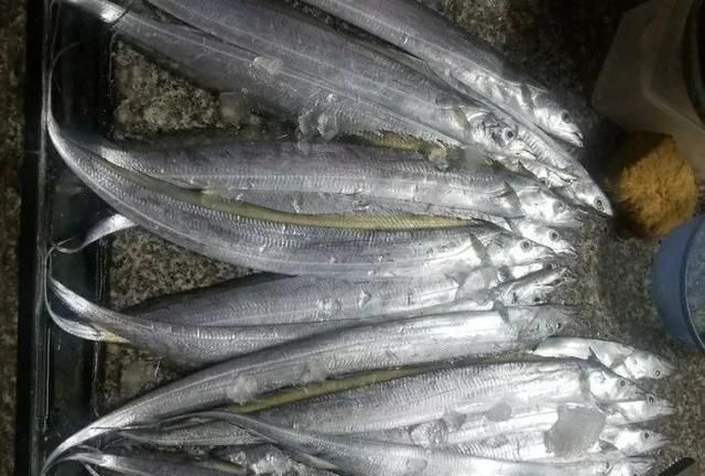 带鱼怎么挑选最新鲜?