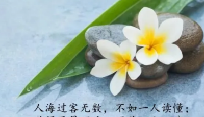 ​适合各种心情的句子,适合所有情绪发的朋友圈句子带图