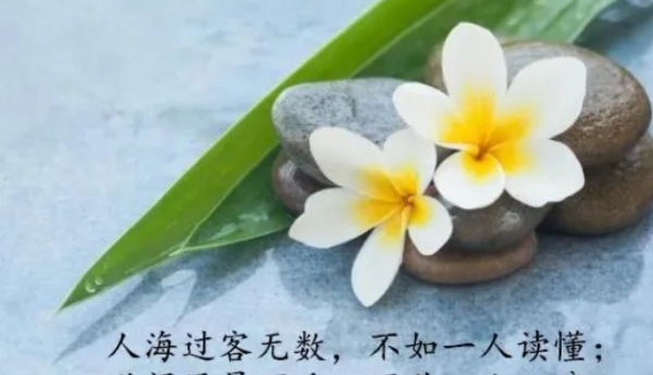 适合各种心情的句子,适合所有情绪发的朋友圈句子带图图1
