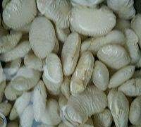 白豆沙是什么豆做的,韩式裱花的豆沙是什么材料做的图1