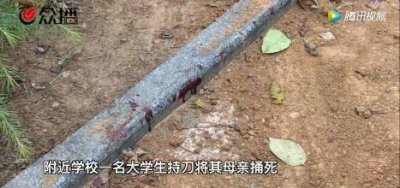 ​弑母什么意思，近几年学生弑母事件屡见不鲜，对此你有什么看法？