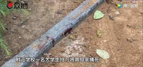 近几年学生弑母事件屡见不鲜，对此你有什么看法