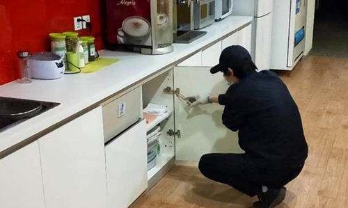 家里有小蟑螂怎么消灭,家里有蟑螂怎么办能除根小妙招吗图5