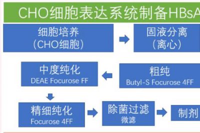 ​酵母表达系统的优缺点