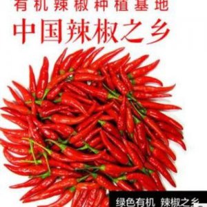 ​辣椒的原产地是哪里