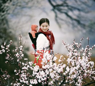 ​3月开什么花，三月份的天气适合种什么木本花卉？
