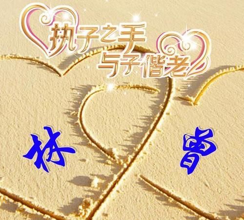 执子之手与子偕老是什么意思