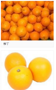 ​柳丁是什么水果图片,我国的宝岛台湾普通话