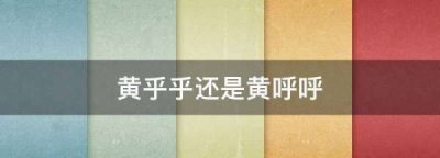 ​黄乎乎还是黄呼呼,黄乎乎是表示颜色的吗