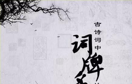 你知道的词牌名有哪些