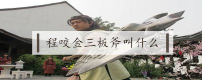 ​程咬金三板斧叫什么
