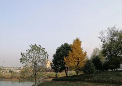 ​精神PUA啥意思（网络用语PUA是什么）