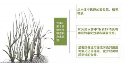 ​湿地的作用，湿地对水库的作用？
