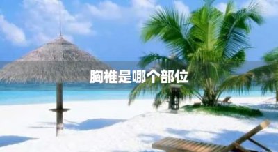 ​胸椎是哪个部位
