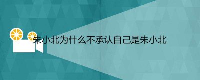 ​朱小北为什么不承认自己是朱小北