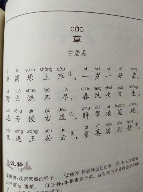 白居易的古诗（白居易著名的十首诗）