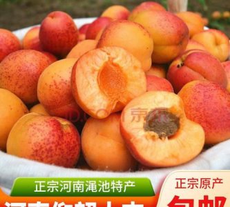 ​红杏李可以吃吗,红杏李可以吃